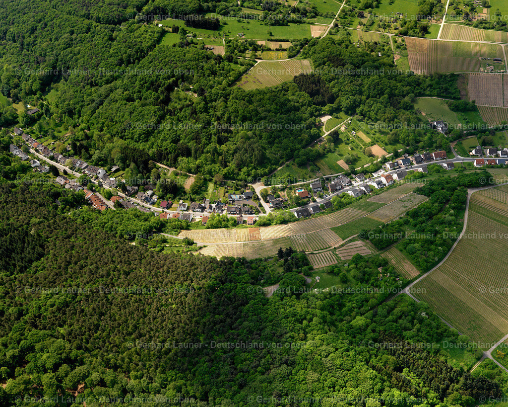 3102221 | Bad Neuenahr-Ahrweiler