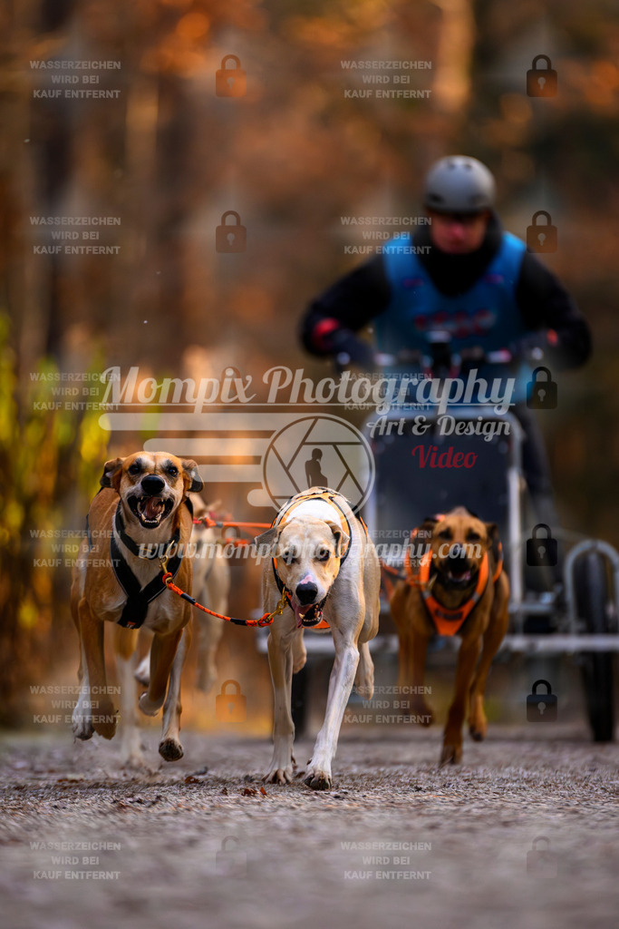 MompixPhotography_DM_AKDM_SO_2025_Wagen-41 | PayLife