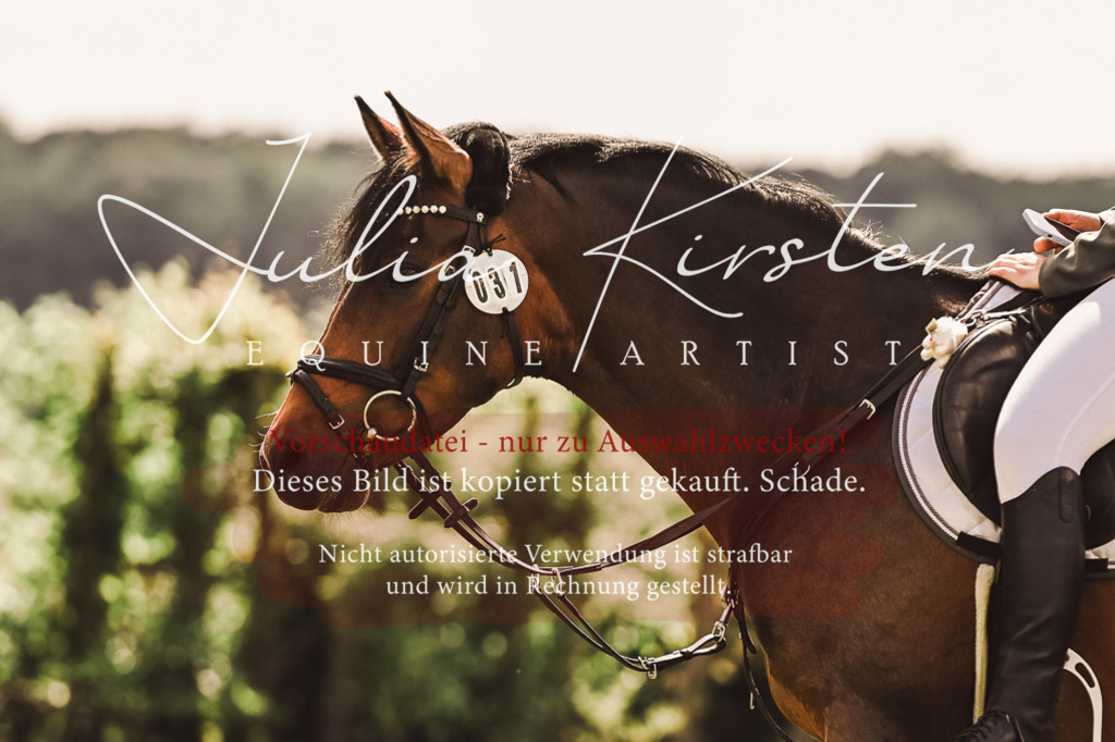 DSC_7031 | Pferde- und Turnierfotografie in Westsachsen. Pferdeportraits, Auftragszeichnungen und intuitive Kunst.