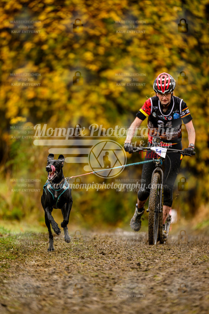 MompixPhotography_ICF_WC_2024_SA_DS_-58 | PayLife