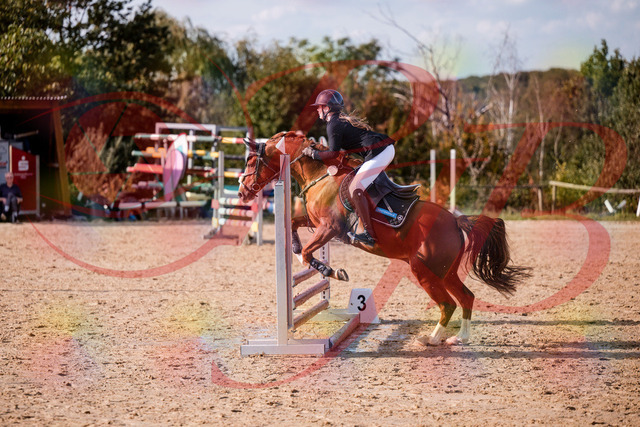 2026_10_03_Siefer-Hof_155757_Z81_77651831 | Professionelle Reitsport-, Turnier- und Eventfotografie von Robert Broda. Galerien mit ausgewählten und bearbeiteten Bildern direkt online ansehen und bestellen.