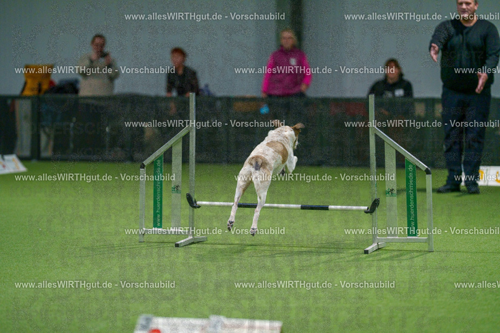 7R505294 | Professionelle Tierfotografie in Mönchengladbach von Daniel Wirth (allesWIRTHgut). Liebevolle & natürliche Bilder von Hunden & Katzen für unvergessliche Erinnerungen.