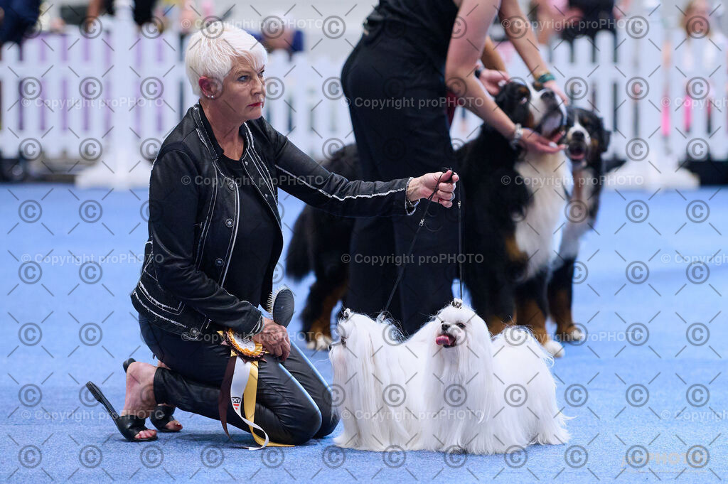 202406_ÖKV-IHA-Tulln24_DSC_3738 | proPHOTO - Realisiert mit Pictrs.com