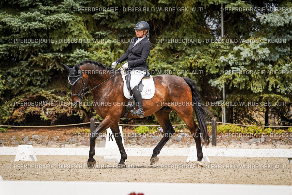 DSC03647 | Pferdegrafie