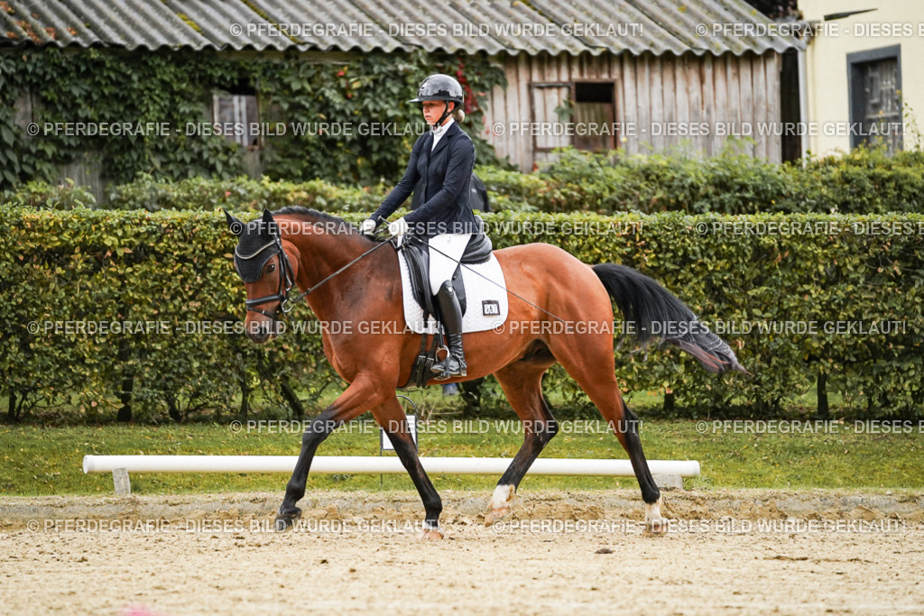 DSC07331 | Pferdegrafie