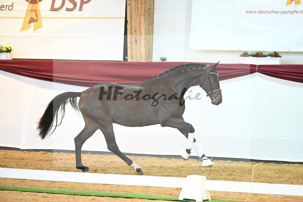 Kat-Nr. 16 v. De Beau_Schult_66220234 | hf-fotografie - Realisiert mit Pictrs.com