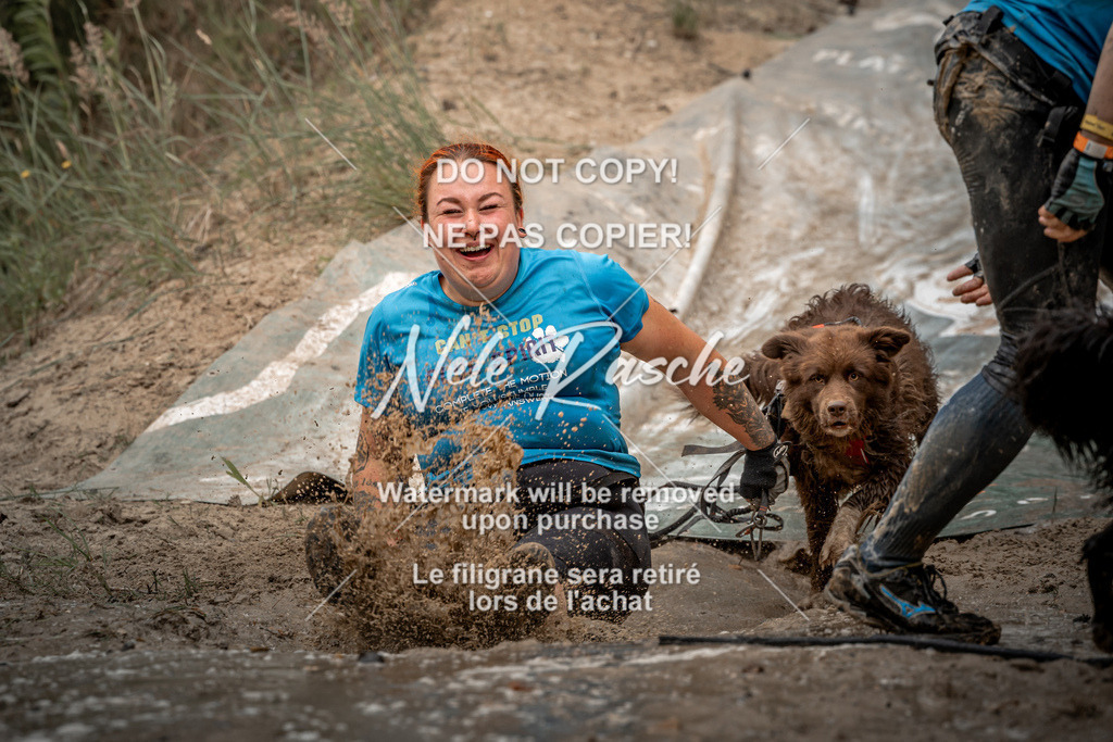nelerasche_sa1300-1345_96 | nelerasche
