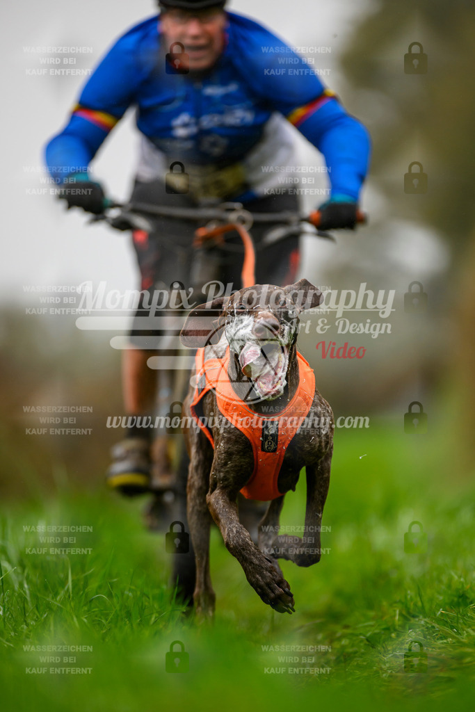 MompixPhotography_20TSB_E8_Bike-81 | PayLife