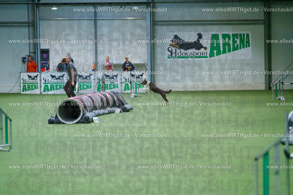 @allesWIRTHgut_Tierfotografie - www.allesWIRTHgut.de - 2604250943-7R508836 | Professionelle Tierfotografie in Mönchengladbach von Daniel Wirth (allesWIRTHgut). Liebevolle & natürliche Bilder von Hunden & Katzen für unvergessliche Erinnerungen.