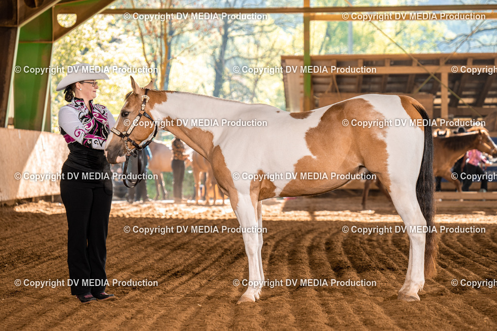 Balingen Tag 1-22 | dv-media-shop - Realisiert mit Pictrs.com