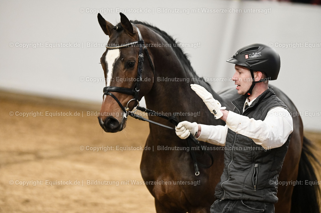 20260307_Hengstvorstellung-Marbach_0087 | equistock