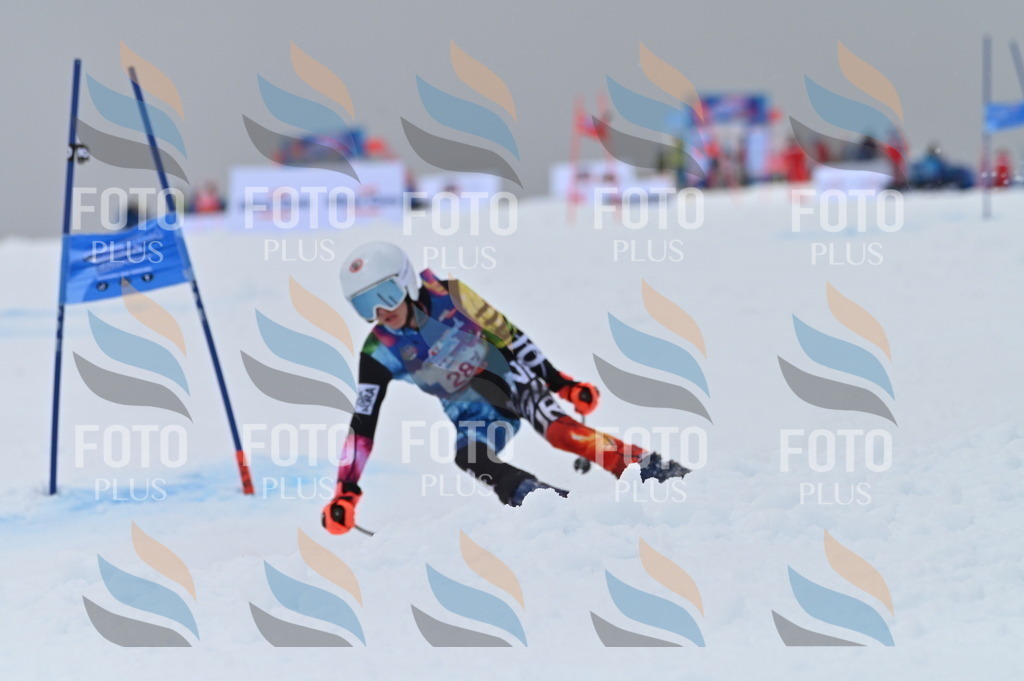 AGV_6111 | holidayphoto