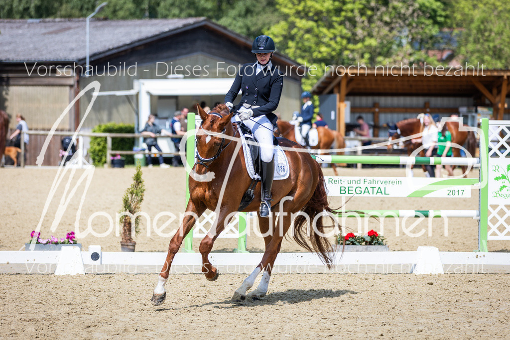 Donop24-L-Dre-051 | MomenTaufnahmen Pferdesportfotos