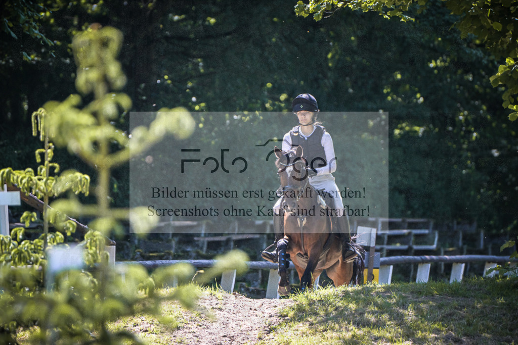 DOS_3876 | Entdecke hochwertige Reitturnierfotos von Foto Oger. Professionell, emotional und authentisch – jetzt Lieblingsmomente im Shop bestellen.Deutschlandweite Turnierfotografie. - Realisiert mit Pictrs.com