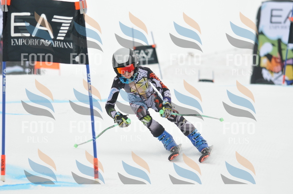 DSC_7318 | holidayphoto