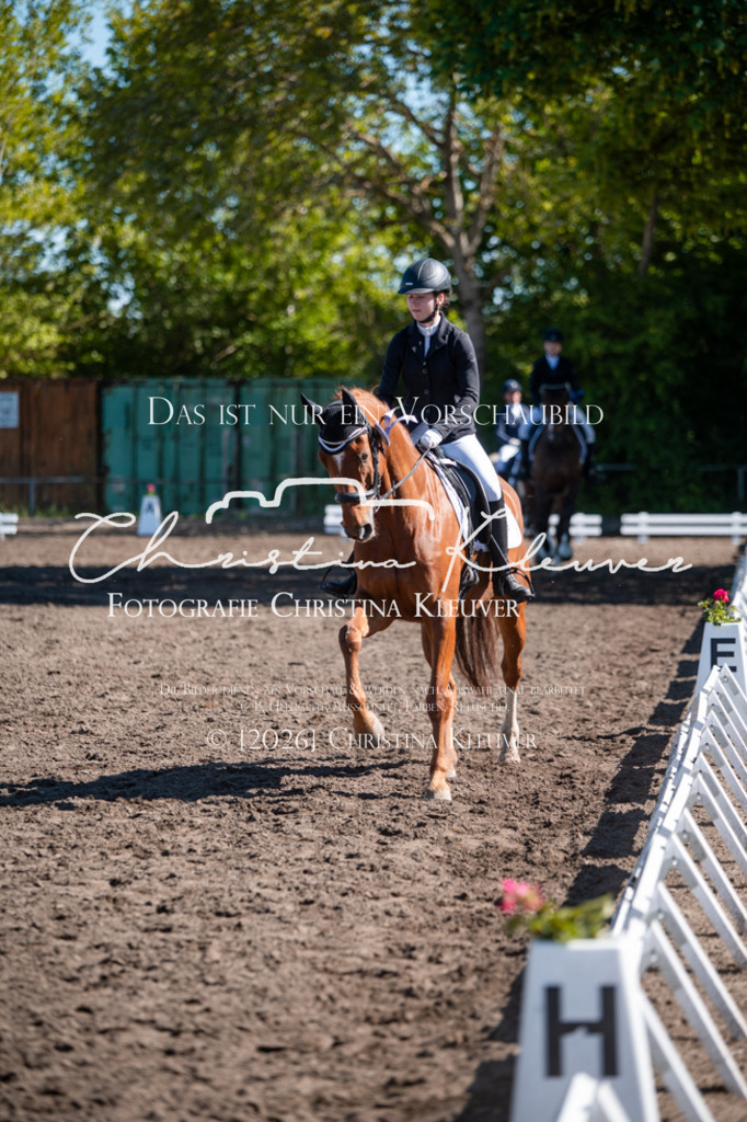 DSC_0603 | Christina-Kleuver