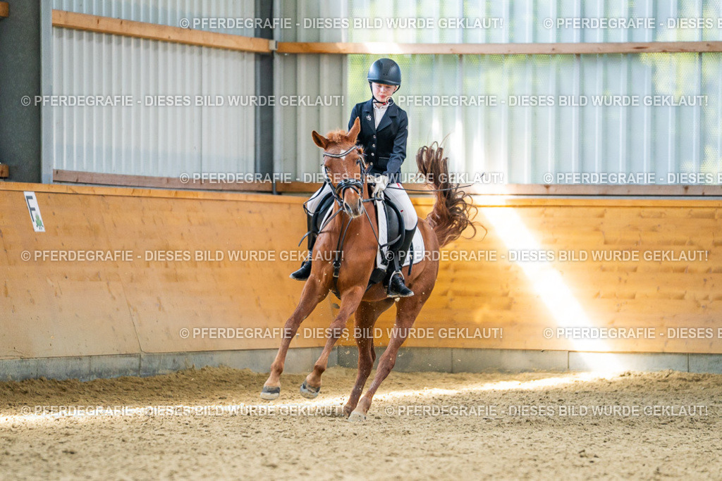 DSC03322 | Pferdegrafie