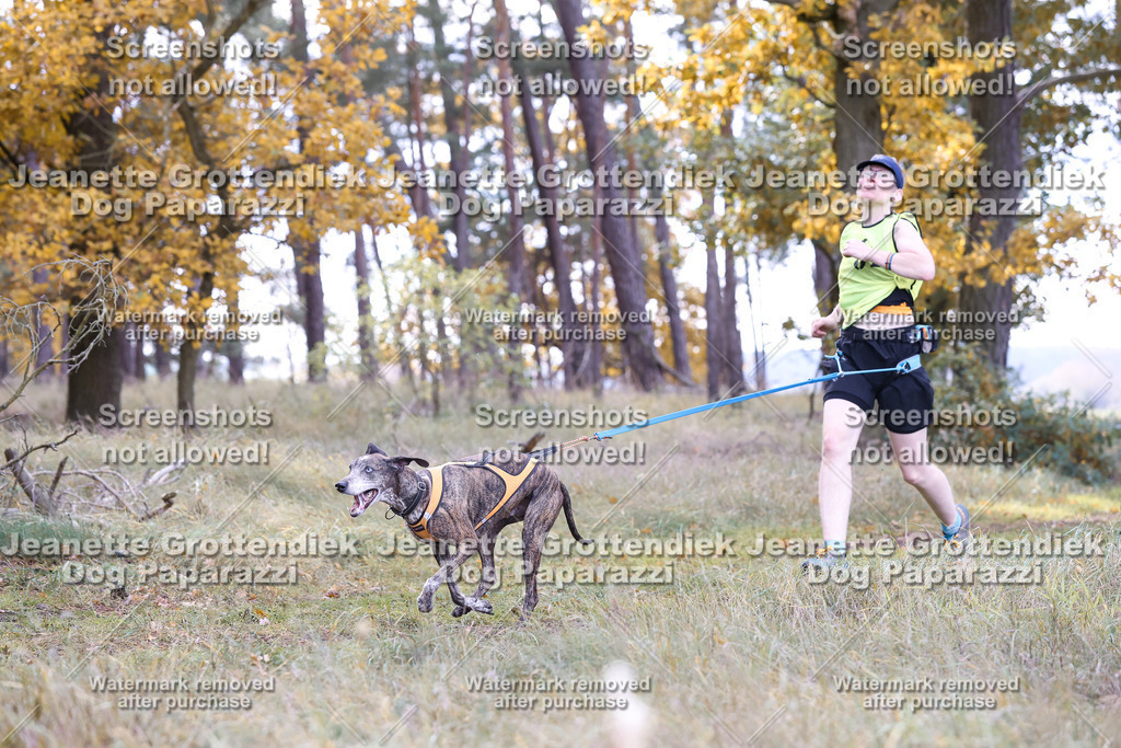 Dog Paparazzi - Elsholz 25 -192 | Dog Paparazzi Jeanette Grottendiek Fotografie & Videografie - Realisiert mit Pictrs.com