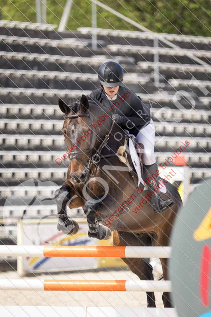 IMG_4892 | Sport-, Event- und Tierfotos in Profiqualität. Einfach auswählen, bestellen und herunterladen. Dein Moment – perfekt festgehalten.