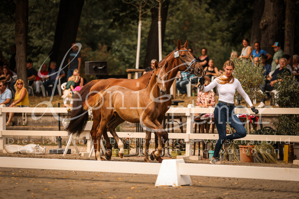 SaPA00161 | Leoni Ertmer Photography - Realisiert mit Pictrs.com