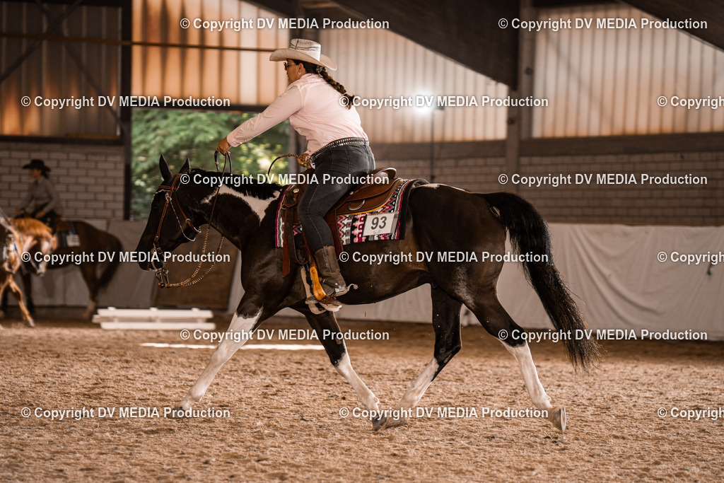 ZH300483 | dv-media-shop - Realisiert mit Pictrs.com