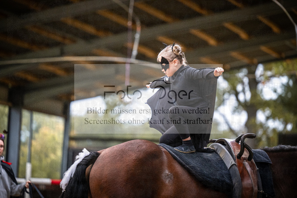 DOS_0071 | Entdecke hochwertige Reitturnierfotos von Foto Oger. Professionell, emotional und authentisch – jetzt Lieblingsmomente im Shop bestellen.Deutschlandweite Turnierfotografie. - Realisiert mit Pictrs.com