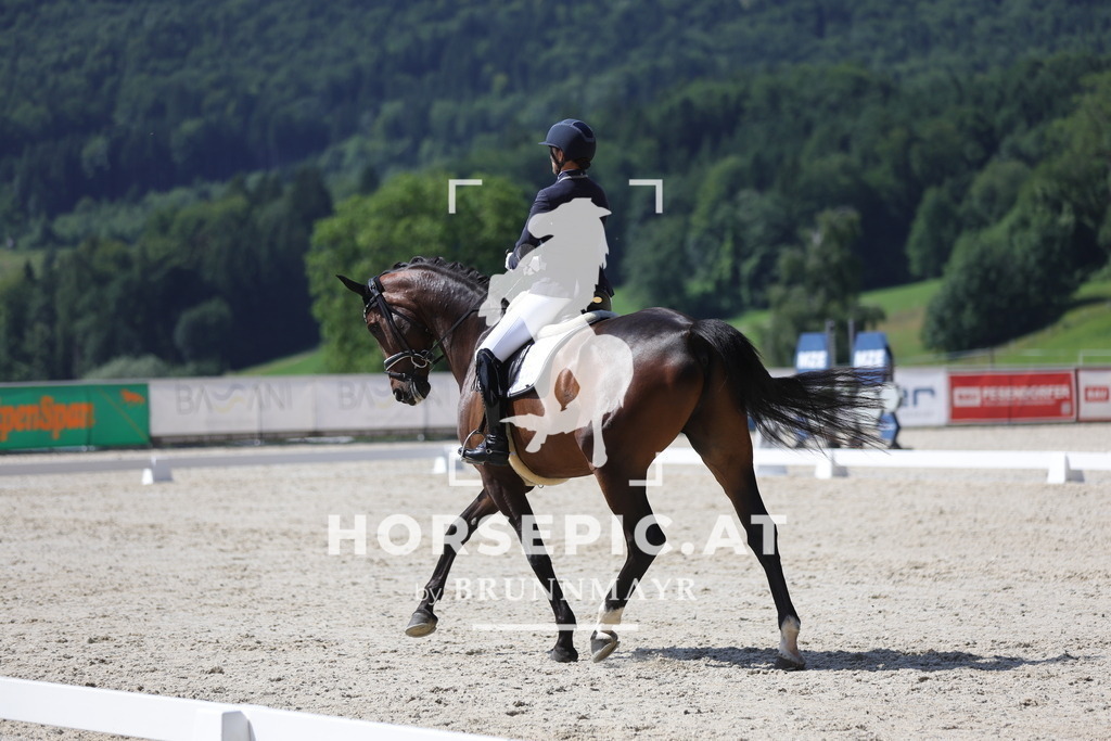 0P6A5203 | Willkommen bei Brunnmayr - Design & Fotografie – Ihrem Spezialisten für Reitturniere und Pferdeveranstaltungen in Oberösterreich, Salzburg und Bayern! Seit über 17 Jahren sind wir leidenschaftlich dabei.