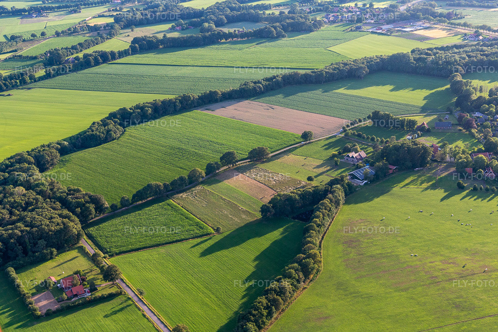Luftbild: Ortsansicht in Winterswijk Miste im Bundesland Gelderland in Niederlande. Foto: IMG_008000.jpg vom 12.07.2020 durch Werner Riehm/FLY-FOTO.de