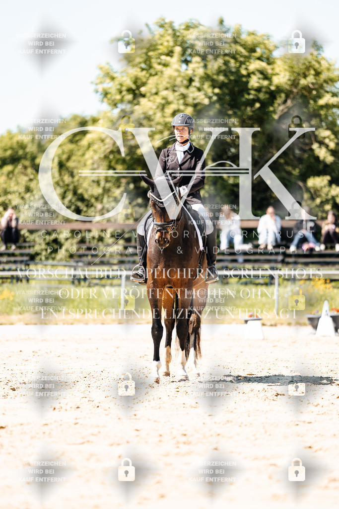 CK905466 | Turnierfotografie Pferdefotografie Trier Rheinland-Pfalz Pferdesport Reitsport Tierfotografie Sportfotografie Pferdevideo Pferdevideografie Equestrianvideography equestrianphotography  - Realisiert mit Pictrs.com