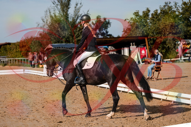 2026_10_03_Siefer-Hof_115612_Z63_31095365 | Professionelle Reitsport-, Turnier- und Eventfotografie von Robert Broda. Galerien mit ausgewählten und bearbeiteten Bildern direkt online ansehen und bestellen.