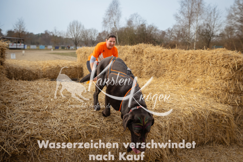 1051_ZZ90413 | kk-dogfotos