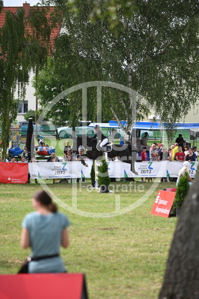 DSC_3114 | sattelsport - Realisiert mit Pictrs.com