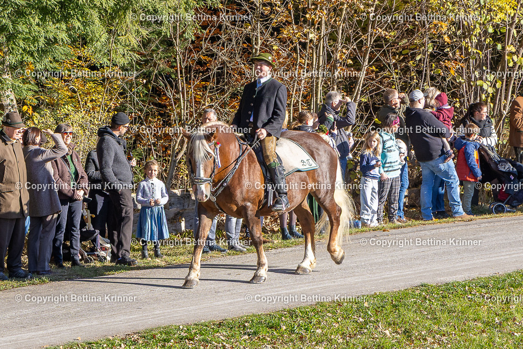 LBT25-275 | foto-bettina-krinner - Realisiert mit Pictrs.com