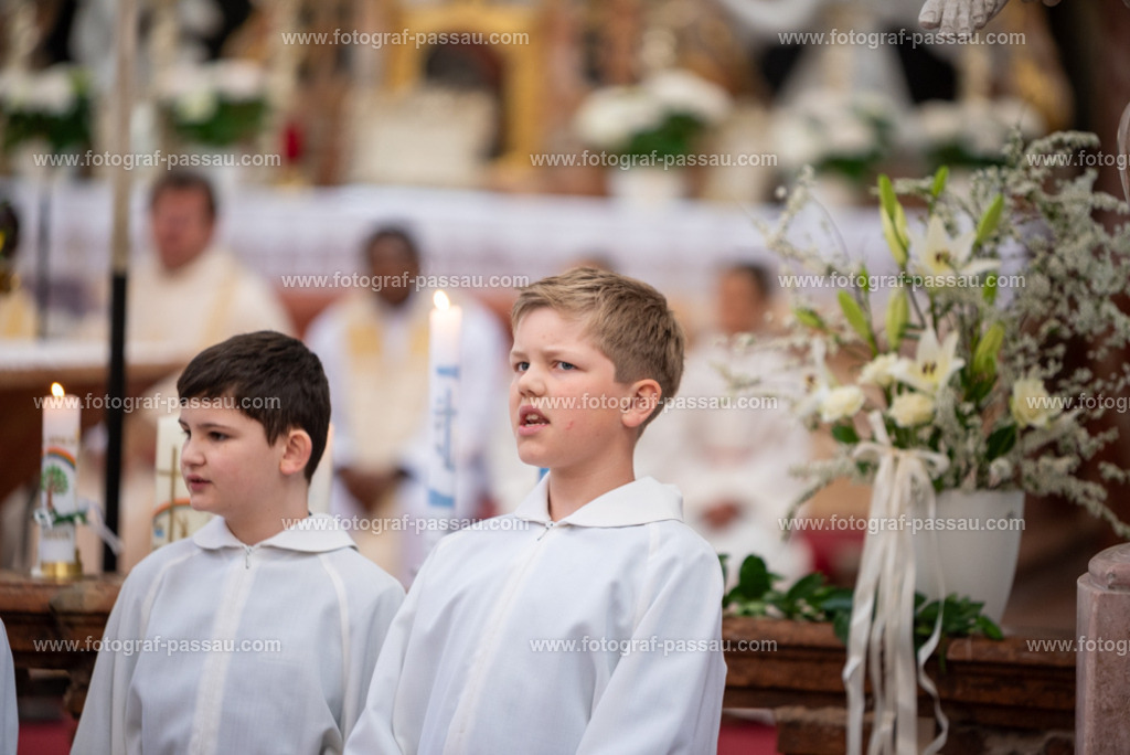 _DSC2684 | Hier finden Sie die Online Foto-Galerie von fotograf-passau.com und marius-handrugan.de. Suchen Sie sich direkt Ihre Lieblingsbilder aus, ob als Ausdruck oder Download. - Realisiert mit Pictrs.com
