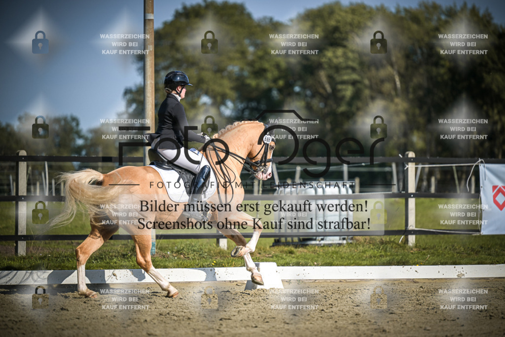 DOS_2155 | Entdecke hochwertige Reitturnierfotos von Foto Oger. Professionell, emotional und authentisch – jetzt Lieblingsmomente im Shop bestellen.Deutschlandweite Turnierfotografie. - Realisiert mit Pictrs.com