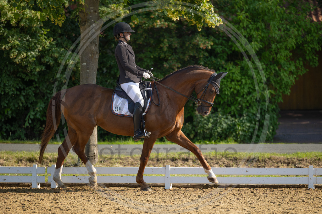 994A3335 | sabrinanicolaifotografie - Realisiert mit Pictrs.com