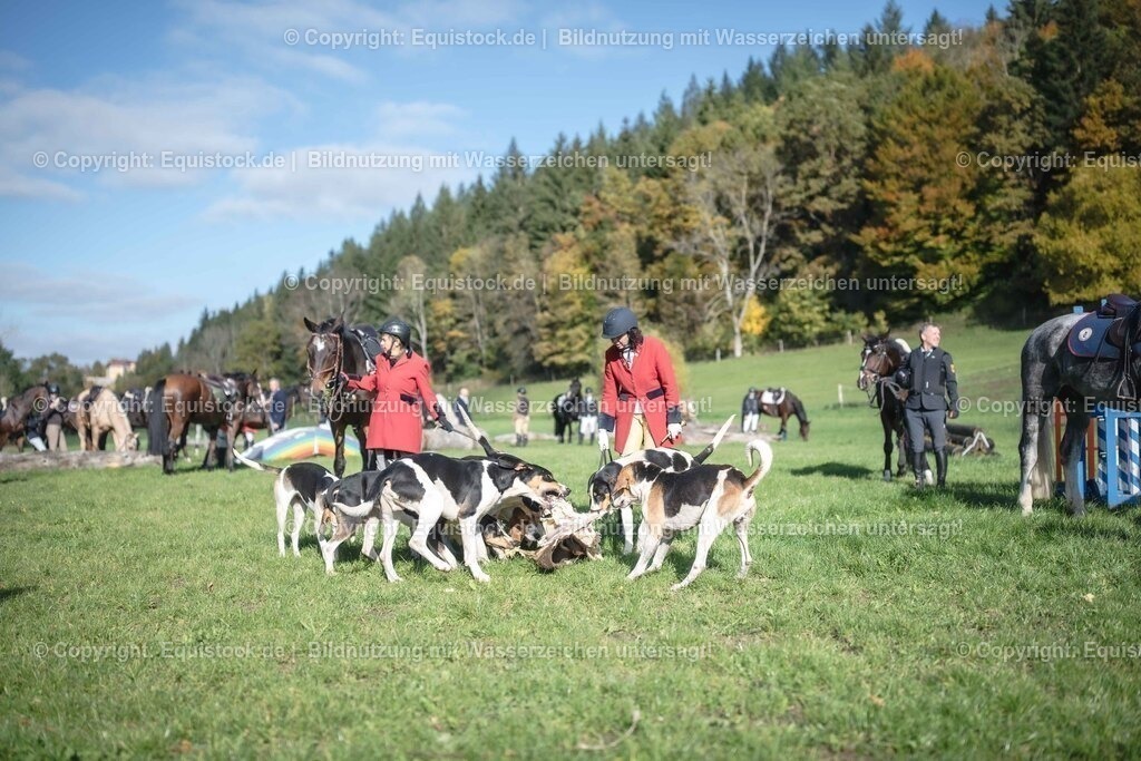 20251011_Jagd-Marbach_0665 | Foto: Thomas Hartig
