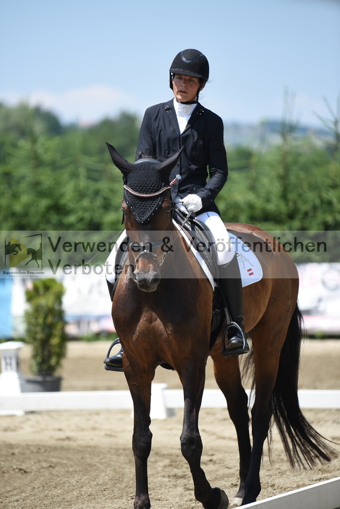 DSC_0188 | equestrian-live-com