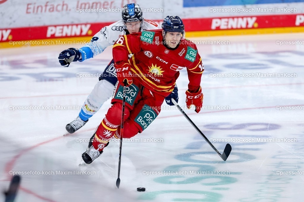 DEG02012501024 | 02.01.2025, Eishockey, Penny DEL, Düsseldorfer EG - ERC Ingolstadt, PSD-BANK Dome: Kyle Cumiskey (DEG #16) im Zweikampf gegen Myles Powell (ERC Ingolstadt #9)