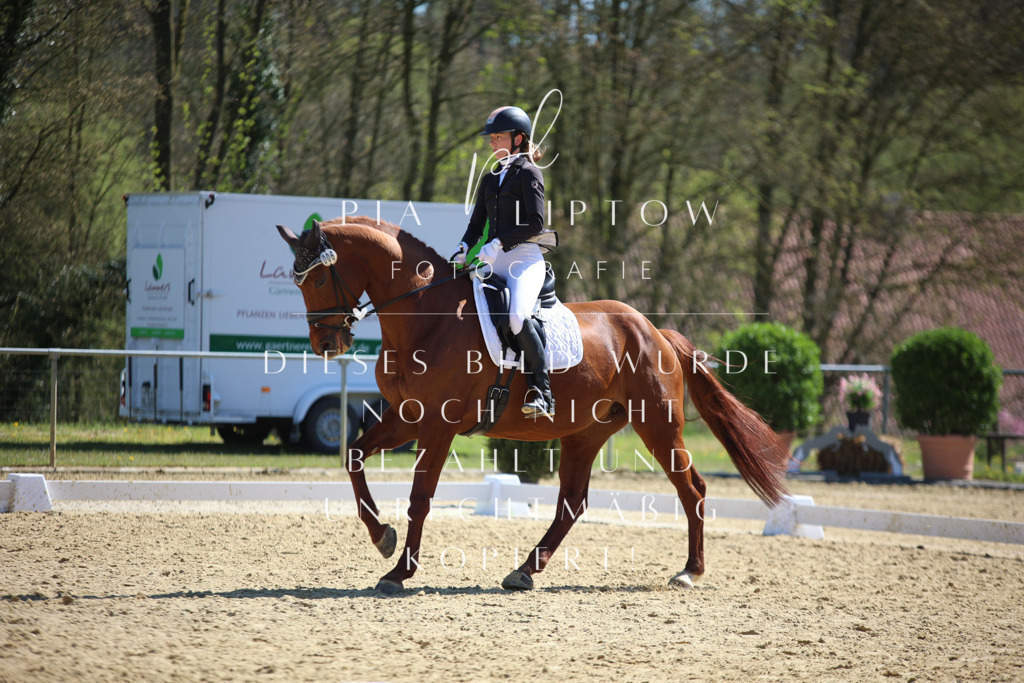 IMGT7974 | pl-fotografie