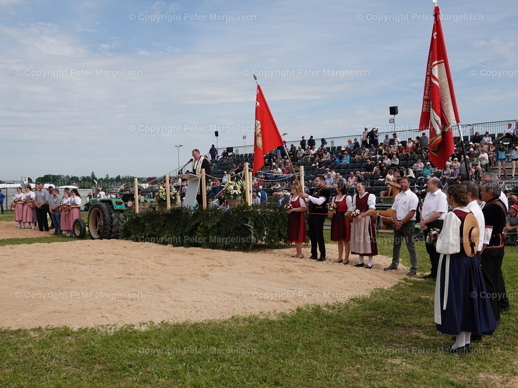 DSC06746 | Schwingen - Realisiert mit Pictrs.com