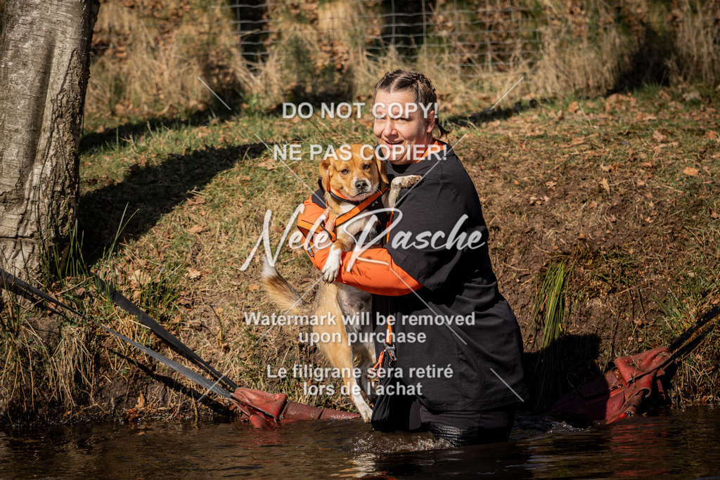 nelerasche_FS1100-1145_494 | nelerasche