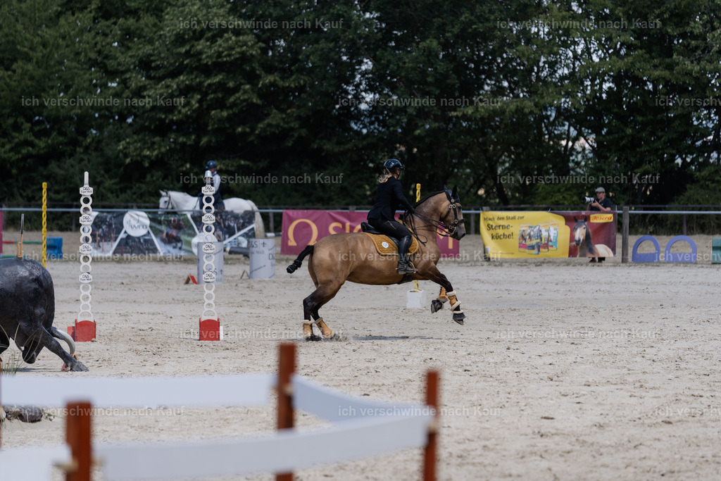 WM_SP_36_SinaFilmArt_IN07675 | working equitationturnier fotograf videograf stoibphotography marixx film working equitation deutschland reitsport turnierfotografie eventfotografie equestrian events