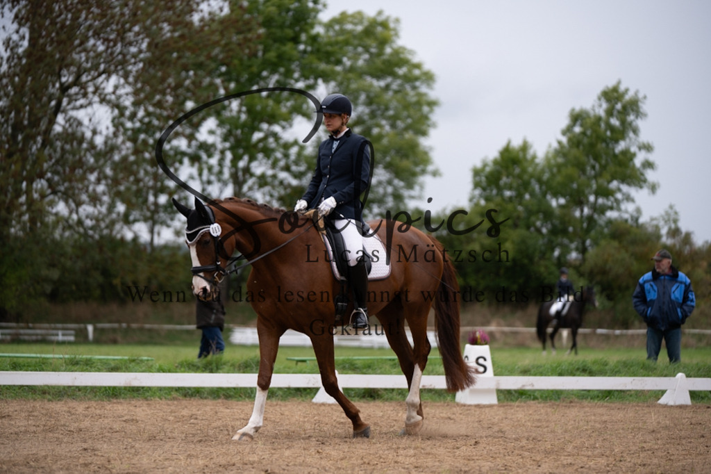 A7V05477 | Pferdefotograf