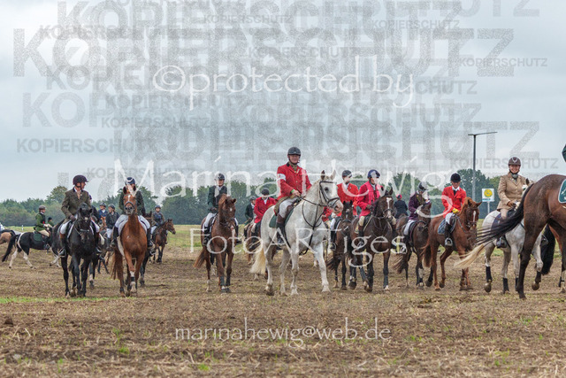 Jagd Perdoel_MarinaHewigMCH04218 | Fotografie, FotoArt, PferdesportArt, Pferdesportfotografie, Landschaftsfotografie, Reisefotografie, Reise, Pferde - Realisiert mit Pictrs.com