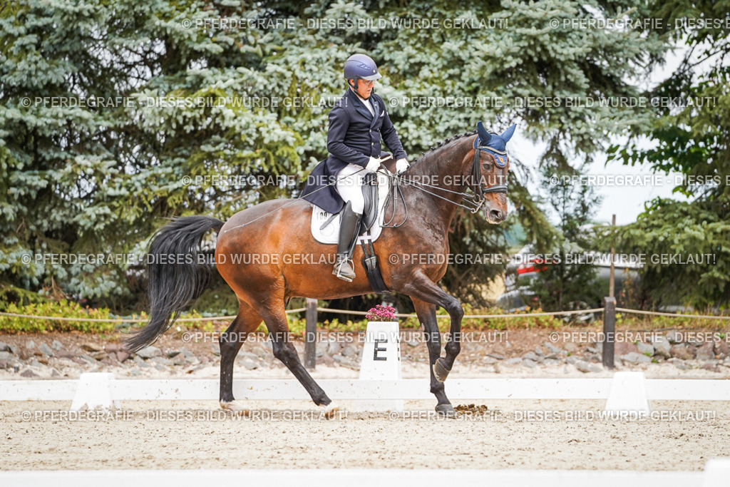 DSC05047 | Pferdegrafie