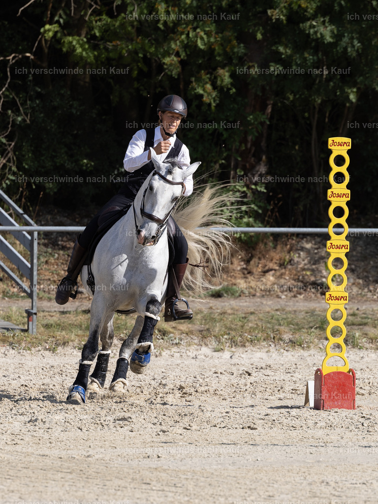 WS_SPEED_11_KerstinBernhardt-9 | working equitationturnier fotograf videograf stoibphotography marixx film working equitation deutschland reitsport turnierfotografie eventfotografie equestrian events
