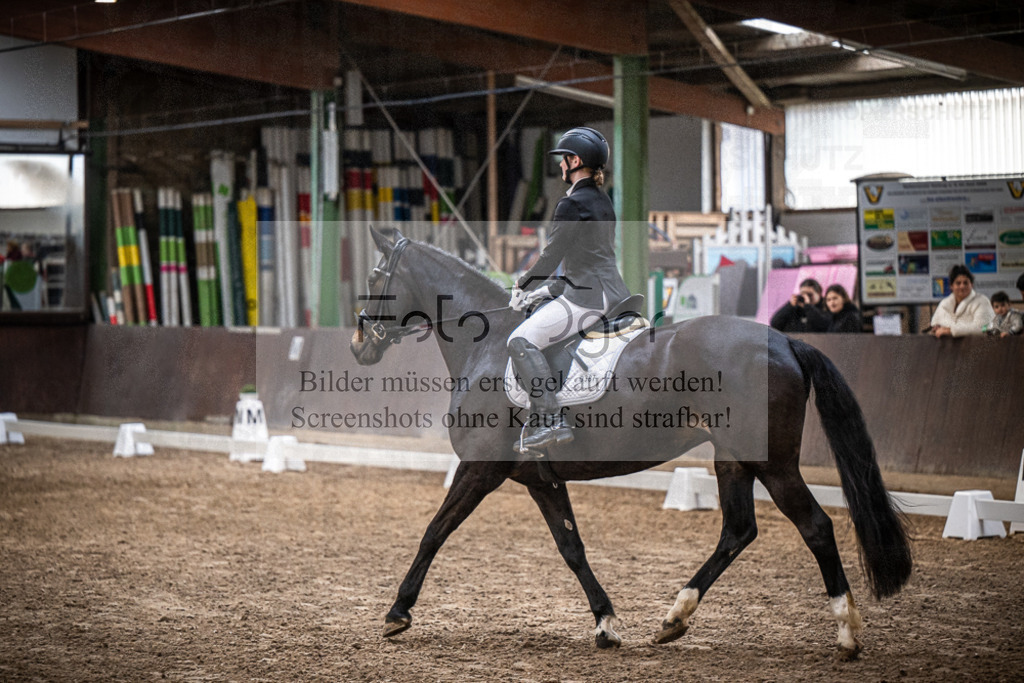 DOS_0501 | Entdecke hochwertige Reitturnierfotos von Foto Oger. Professionell, emotional und authentisch – jetzt Lieblingsmomente im Shop bestellen.Deutschlandweite Turnierfotografie. - Realisiert mit Pictrs.com