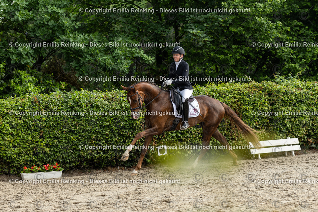 CL5A3846 | Emilia Reinking Fotografie - Realisiert mit Pictrs.com