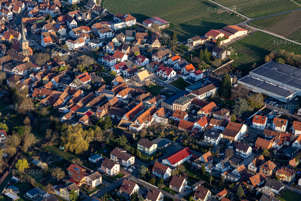 Luftbild: Bismarckstraße, Villa Königsgarten in Siebeldingen im Bundesland Rheinland-Pfalz in Deutschland. Foto: IMG_126264.jpg vom 04.04.2021 durch Werner Riehm/FLY-FOTO.de